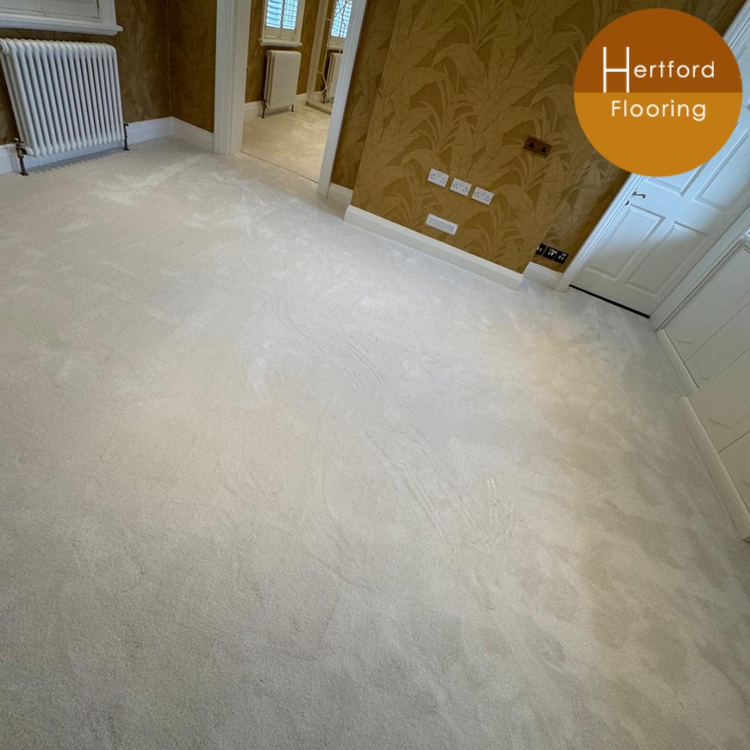 HertfordFlooring (@hertfordfloor) on Twitter photo Stunning and sensational #carpet
This is Cormar
In the Sensation range
Colour is Icing Sugar
๐ ๐งก๐ ๐งก๐ ๐งก๐
Check us out on #houzz
๐ ๐งก๐ ๐งก๐ ๐งก๐
houzz.co.uk/hznb/projects/โฆ
#HomeImprovement #flooring #ideas #inspiration #floors #bedroom #hertfordflooring #discerninglydifferent Stunning and sensational #carpet
This is Cormar
In the Sensation range
Colour is Icing Sugar
๐ ๐งก๐ ๐งก๐ ๐งก๐
Check us out on #houzz
๐ ๐งก๐ ๐งก๐ ๐งก๐
houzz.co.uk/hznb/projects/โฆ
#HomeImprovement #flooring #ideas #inspiration #floors #bedroom #hertfordflooring #discerninglydifferent
