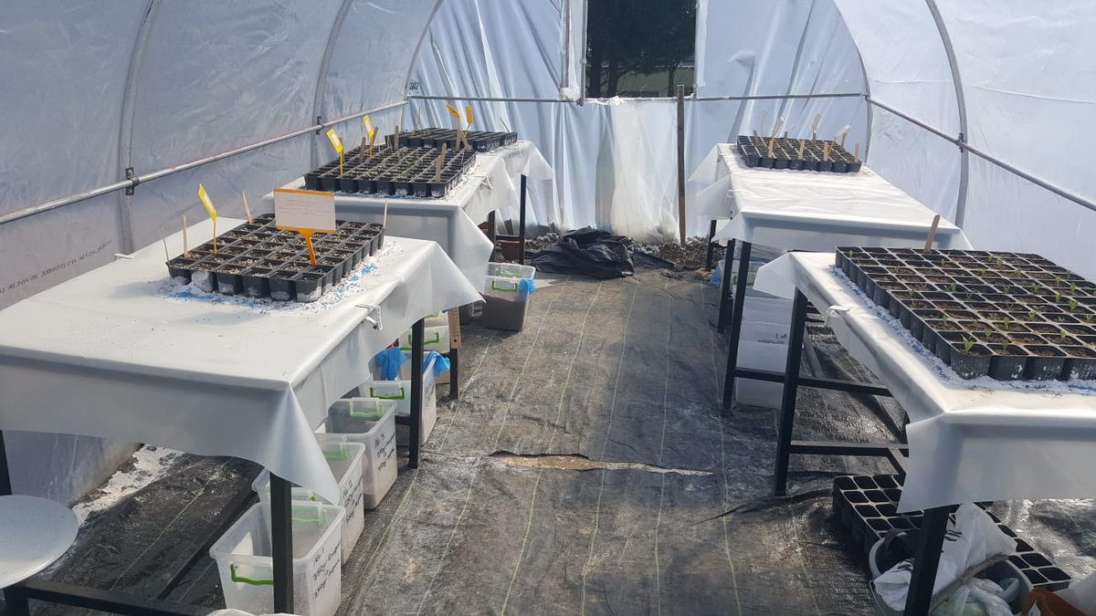 İzmit MYO öğrencimizden TÜBİTAK destekli proje

🌐 izmitmyo.kocaeli.edu.tr/haberler/tibbi…