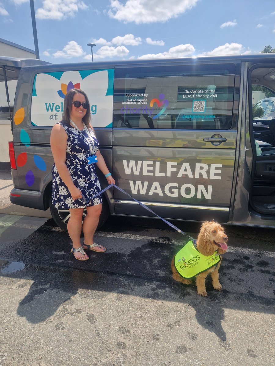 Lottie an EEAST 'GoodDog' joined the Safeguarding Team this morning on the Welfare Wagon at Broomfield.🐶☺️#wellbeing #EastofEnglandAmbulanceServiceCharity