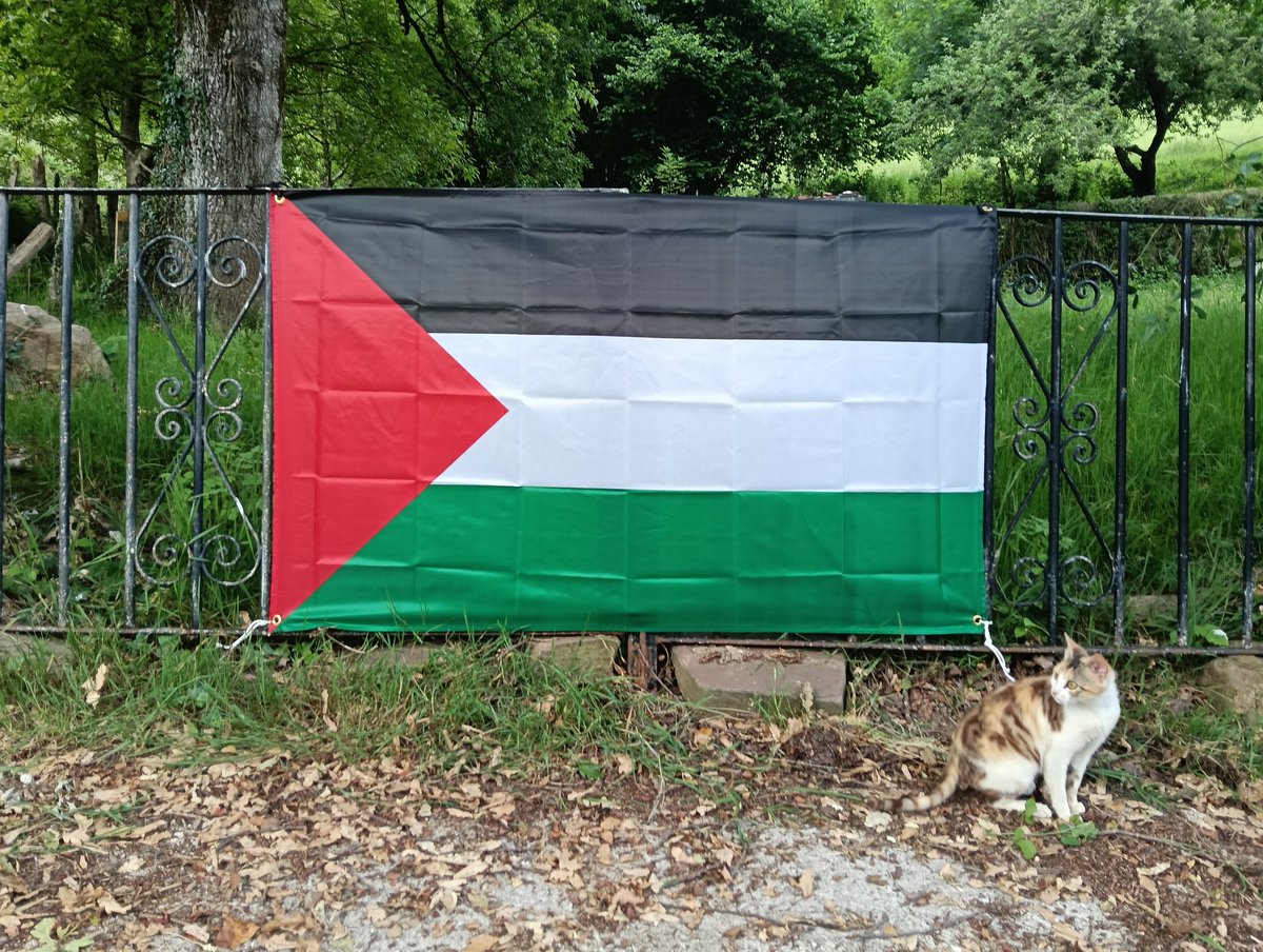 Gure etxetik ere, elkartasun osoa Palestinar herriarekiko. 🥀