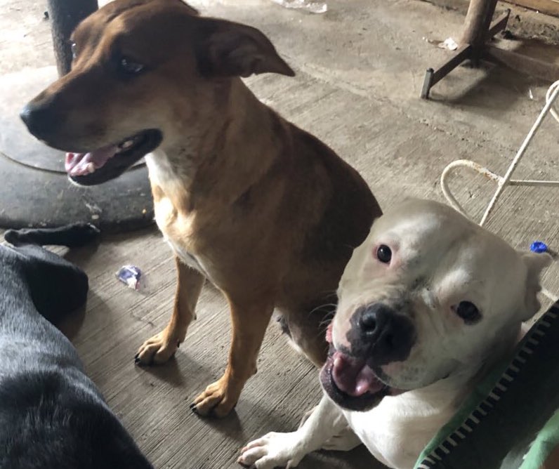 Dios los bendiga hoy amanecimos con 50 seguidores menos muchas gracias por el tiempo que nos siguieron sigo de pie a las personas que me mandan mensaje también felices por q me están dejando de seguir igual muchas gracias pero sigo de pie