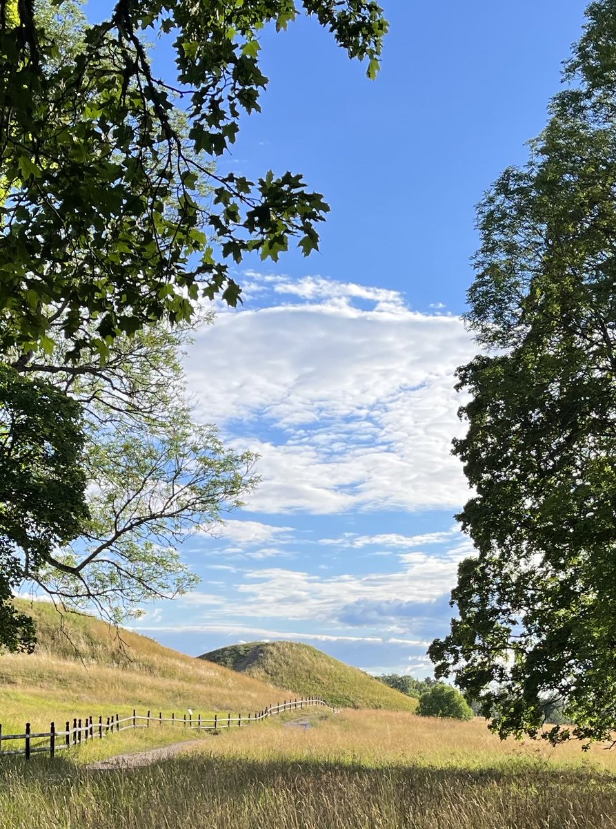 Good afternoon friends ☀️💙🤍🕊️