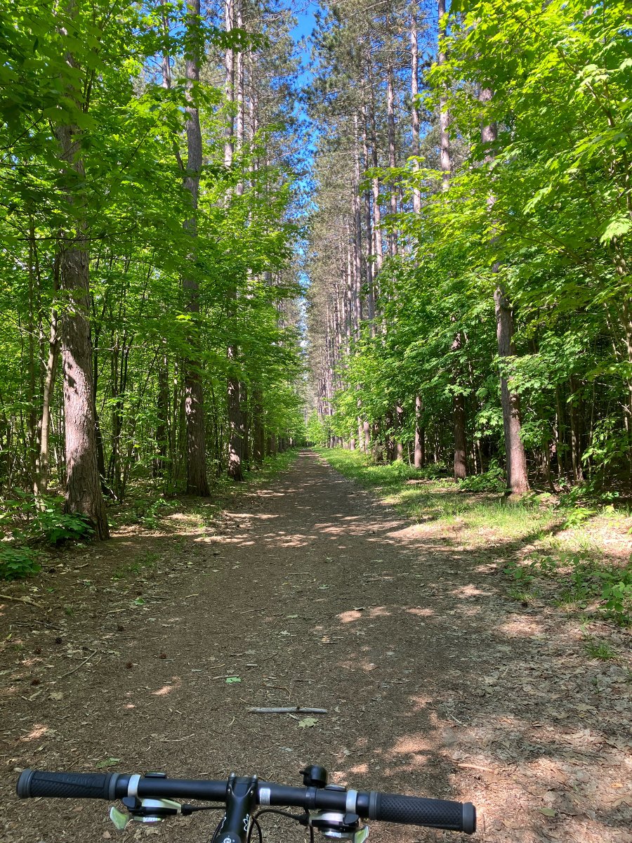barbara_deetz's tweet photo. Sunday bike ride ...
Looks lovely, no? Stop for one second to tie a shoe lace or drink some water and you are under attack by mosquitoes. And they mean business. They show up with knives and forks and have little dinner napkins tied around their scrawny necks. https://t.co/1LXMGY8Vlv