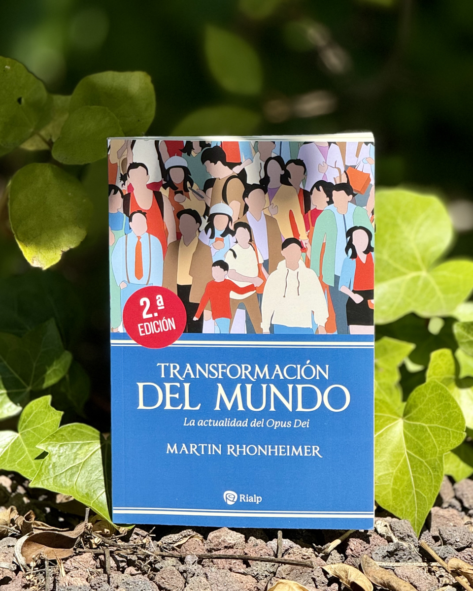 Sé el cambio que quieres ver en el mundo. 🌎🔄