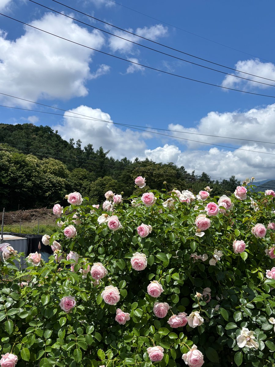 wbwb3me's tweet photo. @opensea
#touchthegrass https://t.co/IXAhqtZFwg