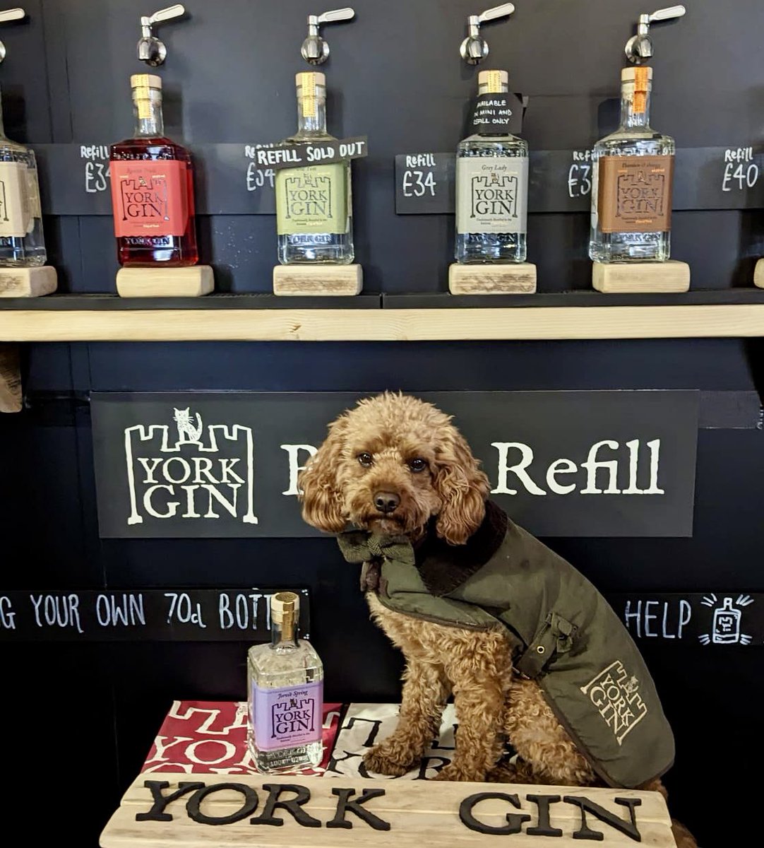 yorkgin's tweet image. 🍸♻️🍸 #WORLDREFILLDAY 🍸♻️🍸

We have *two* refill schemes:

1️⃣ Shop customers: Bring in a clean, empty spirits bottle, choose your gin to get it refilled - and get £6 off.

2️⃣ Trade customers: Order our re-usable 5-litre cans and refill your bottles - for discounts on your gin