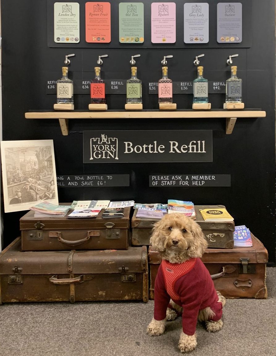 yorkgin's tweet image. 🍸♻️🍸 #WORLDREFILLDAY 🍸♻️🍸

We have *two* refill schemes:

1️⃣ Shop customers: Bring in a clean, empty spirits bottle, choose your gin to get it refilled - and get £6 off.

2️⃣ Trade customers: Order our re-usable 5-litre cans and refill your bottles - for discounts on your gin
