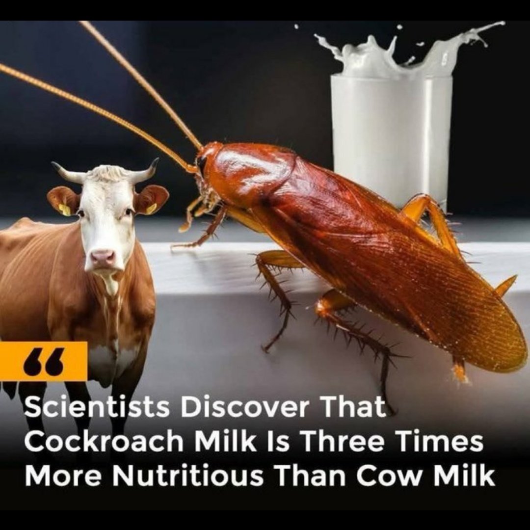Abeg which scientists??
Anyways🤣
A liter of coackroach milk at 5k😭
