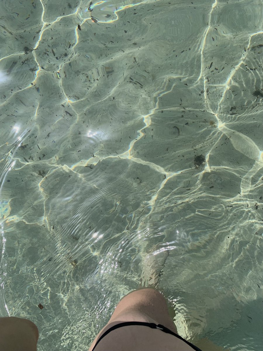 introversluna's tweet photo. mentre voi sborsate🥱🥱 https://t.co/UFLgLQqDln