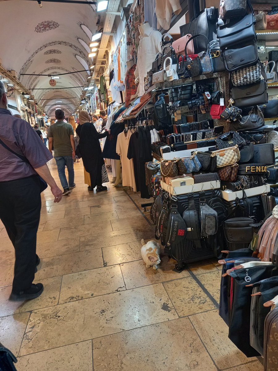 MarthaLievano4's tweet photo. De compras. #GranBazar #TeTurco #Narguile #Istanbul #Turkey https://t.co/04gK0IxwjO