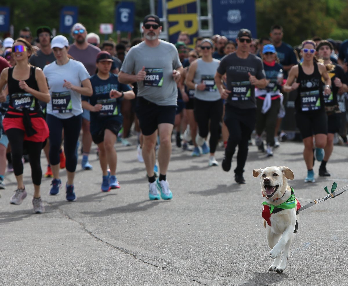 runcolfax's tweet image. Who else runs with their 4 legged friend?!?!

#RunColfax #RunWithDogs #Running