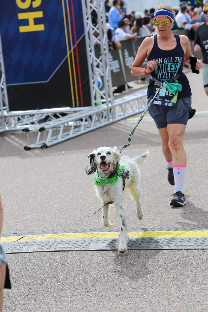 runcolfax's tweet image. Who else runs with their 4 legged friend?!?!

#RunColfax #RunWithDogs #Running