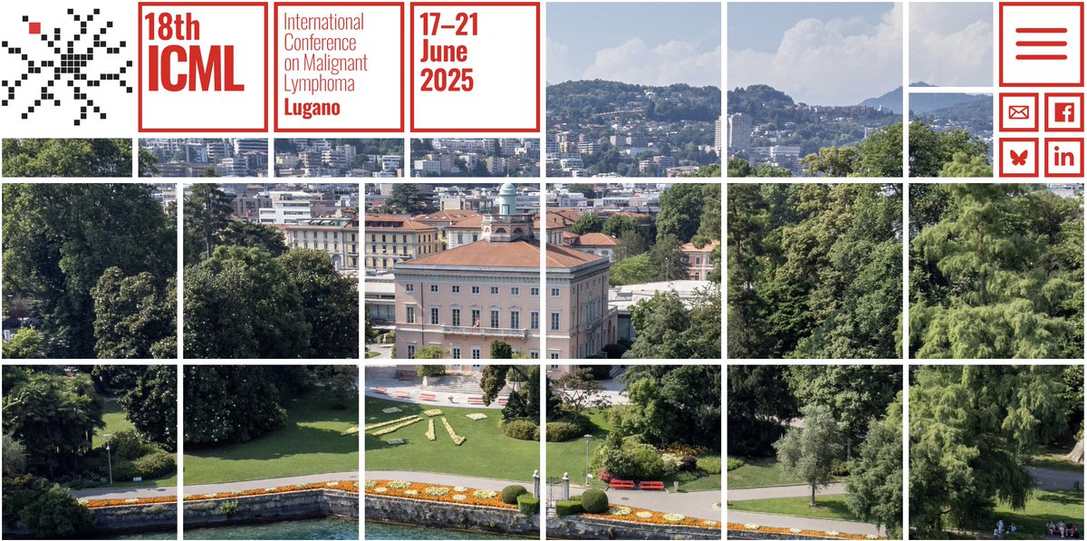 Andrew M. Evens, DO, MBA, MSc (@draevens) on Twitter photo 🚨The 18th International Conference on Malignant #Lymphoma <a href="/icmlugano/">International Conference on Malignant Lymphoma</a> starts tomorrow (icml.ch/icml/home.html)!
➡️Join me June 18 & June 20 for #Hodgkin lymphoma 'meet the professor' sessions (review HERE onlinelibrary.wiley.com/doi/10.1002/ho…)
🙌As always, it'll be a great meeting! #18ICML 🚨The 18th International Conference on Malignant #Lymphoma <a href="/icmlugano/">International Conference on Malignant Lymphoma</a> starts tomorrow (icml.ch/icml/home.html)!
➡️Join me June 18 & June 20 for #Hodgkin lymphoma 'meet the professor' sessions (review HERE onlinelibrary.wiley.com/doi/10.1002/ho…)
🙌As always, it'll be a great meeting! #18ICML