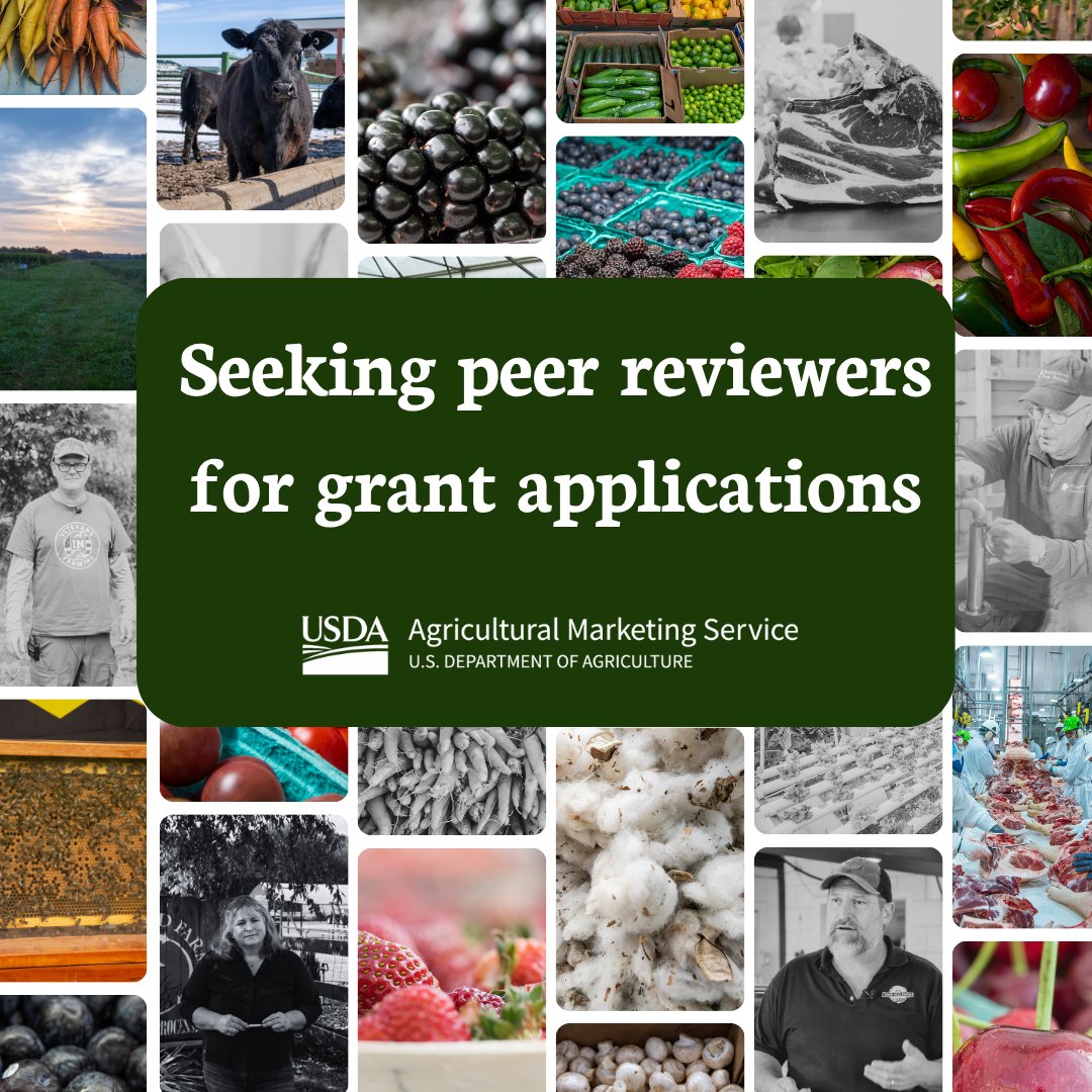 USDA AMS is seeking subject matter experts to serve as peer reviewers to evaluate applications for grant programs for the FY25 grant cycle. Producers and those with first-hand experience in food and farm businesses are encouraged to participate. 
 
bit.ly/3STFx0U