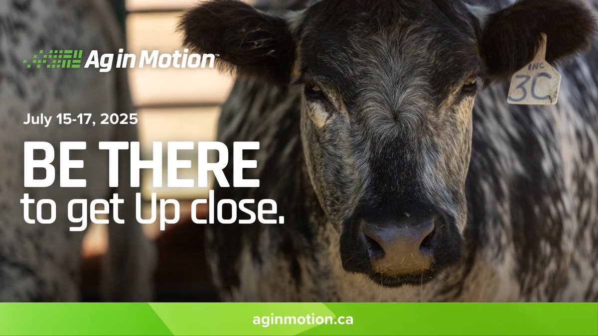 Ag in Motion (@aginmotion) on Twitter photo Donβt miss out on the ultimate agricultural experience at Ag in Motion! π
ποΈ Get the details in the 2025 Ag in Motion Livestock Guide: vist.ly/3n627cv
Save the date!
π
 July 15-17, 2025
π Langham, Saskatchewan
#AgInMotion #LivestockCentral #SaskAg Donβt miss out on the ultimate agricultural experience at Ag in Motion! π
ποΈ Get the details in the 2025 Ag in Motion Livestock Guide: vist.ly/3n627cv
Save the date!
π
 July 15-17, 2025
π Langham, Saskatchewan
#AgInMotion #LivestockCentral #SaskAg