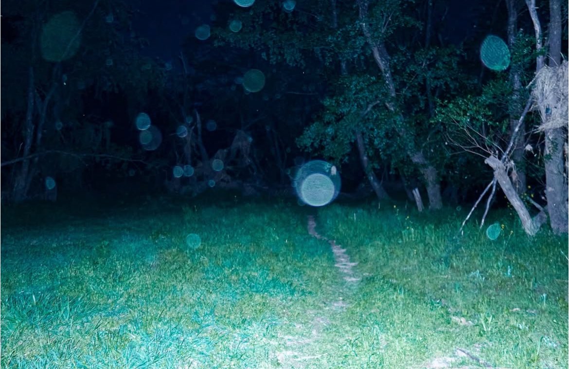 GtkS5WWb0AAs8ZG?format=jpg&name=medium