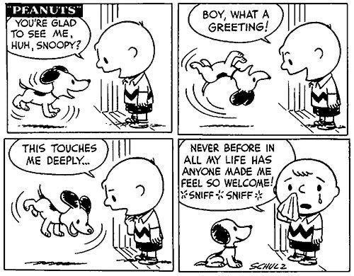 Daily Snoopy (@dailysnoopys) on Twitter photo 