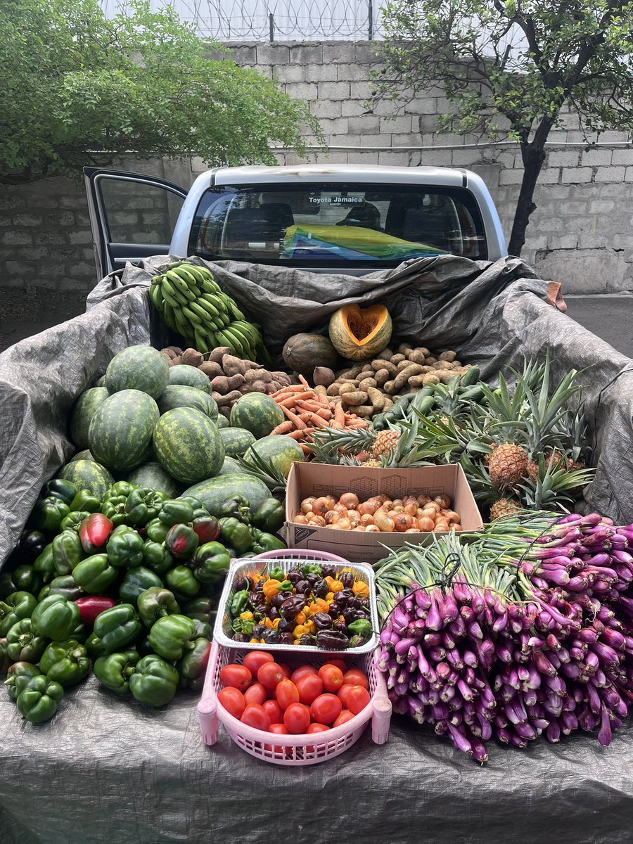 Didn’t catch last saturday? We’re popping up on 20 Hilcrest Ave kgn this saturday. Come and fill your prescription for farm fresh produce.