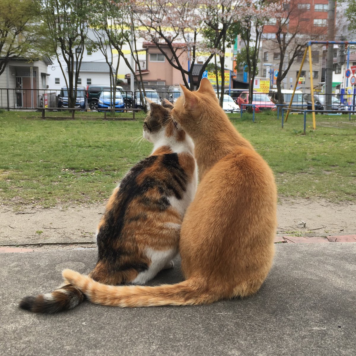 6月19日木曜日　通常営業　
#モンドボンゴ　#仙台