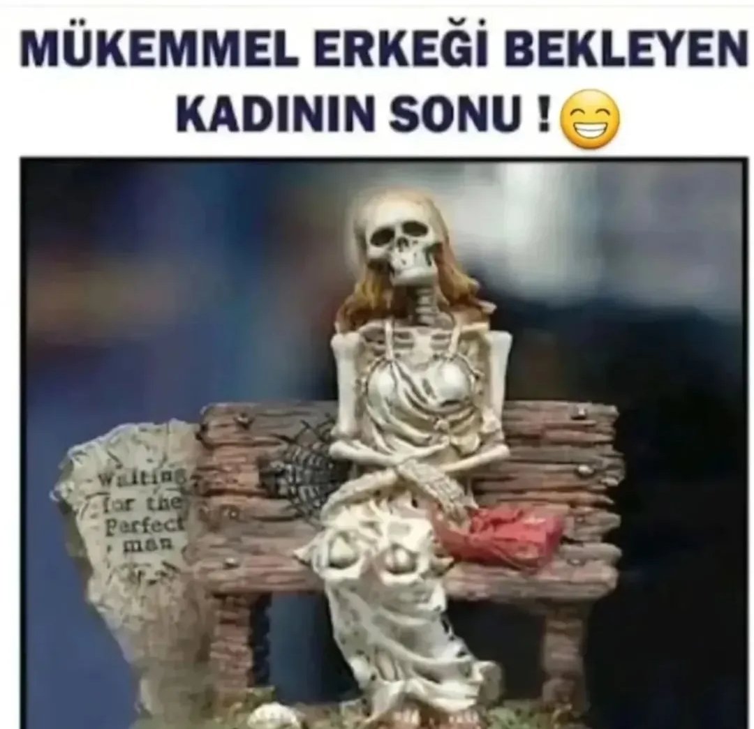 Seher🦅 tweet media