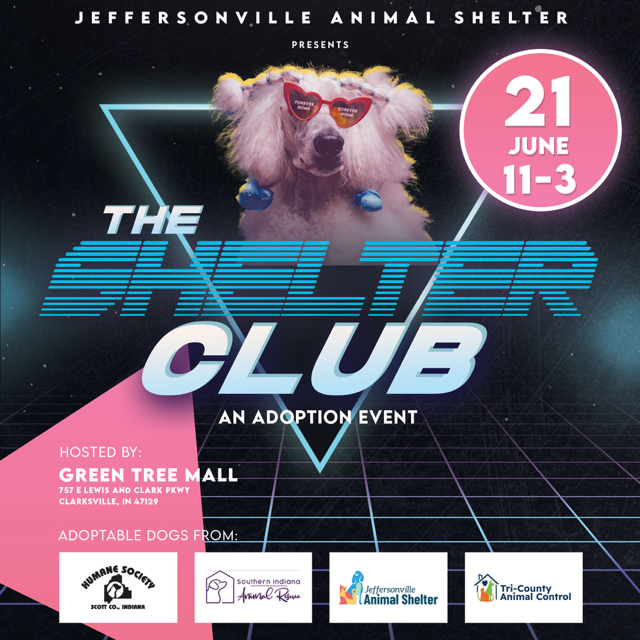 CityofJeff's tweet photo. 🎶 🐶 Get ready to party like it’s 1985… with adoptable pups!
Join the Jeffersonville Animal Shelter and friends for The Shelter Club: An Adoption Event
🗓 Saturday, June 21
📍 Greentree Mall
🕚 11 a.m. – 3 p.m.
#onlyINjeff https://t.co/ctw28G9XOW