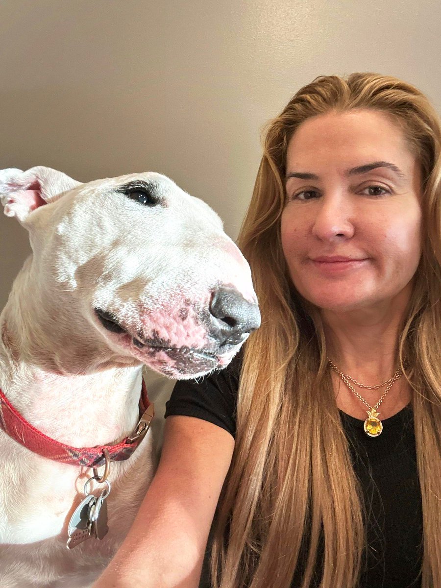 ashleyberges's tweet image. Whether we are home, at the the office, in the car, or out on adventure, we have each other. Buddy brightens my day and night. Yes he can sometimes be challenging but who isn’t sometimes? #dogs #bullterrier #familydynamic #love #family