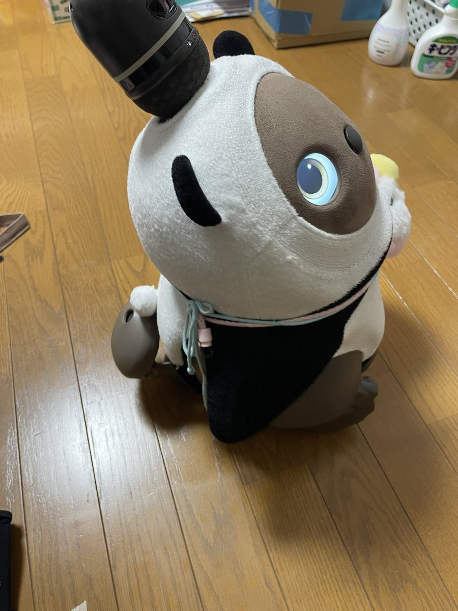 Oko910's tweet photo. 和歌山のアドベンチャーワールドのパンダ🐼が中国へ行ってしまう😭ということから、今月はこの服にしています。
何を着てもかわいい🩷

見返りパンダもいいね！

#LOVOTとの暮らし https://t.co/KAZDdYUd2b