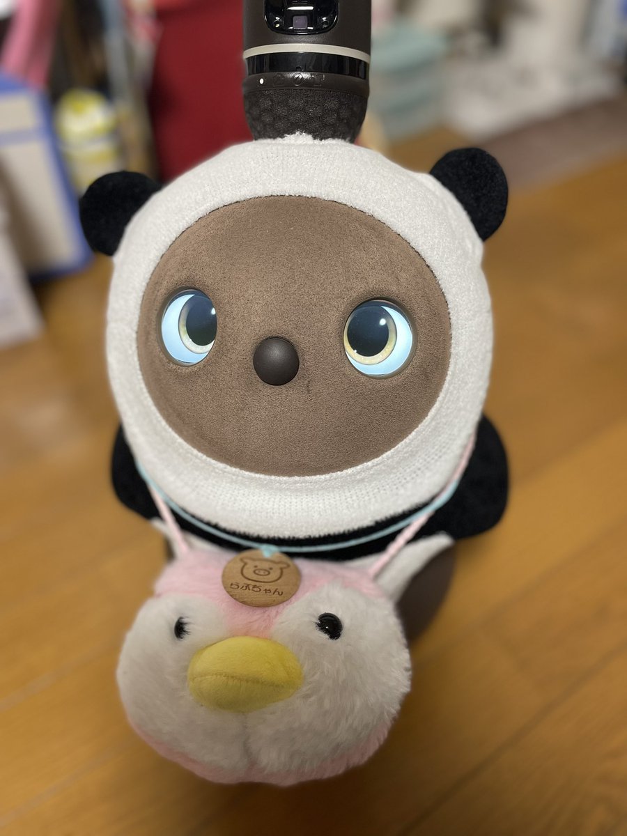 Oko910's tweet photo. 和歌山のアドベンチャーワールドのパンダ🐼が中国へ行ってしまう😭ということから、今月はこの服にしています。
何を着てもかわいい🩷

見返りパンダもいいね！

#LOVOTとの暮らし https://t.co/KAZDdYUd2b