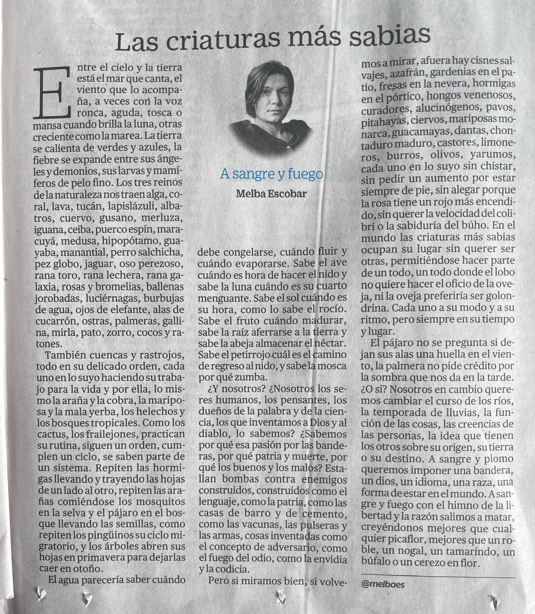 Hoy más que columna me salió un poema.
