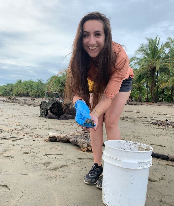 Today is #WorldSeaTurtleDay and a chance for us to recall our 2019 #volunteering trip to a turtle #conservation project on the Nicosia Peninsula in Costa Rica #climateaction #biodiversity #environment 🐢🌊💚🌍
