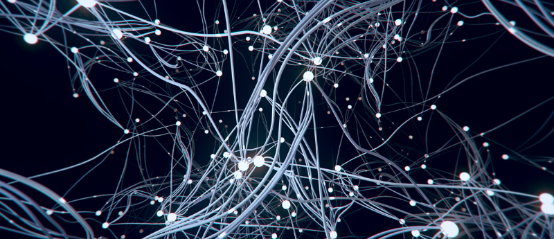 Using an algorithm called the Krakencoder, researchers are a step closer to unraveling how the brain’s wiring supports the way we think and act hubs.ly/Q03rRgDJ0