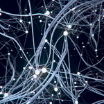 Photo by Neuro Central (@Neuro_Central)