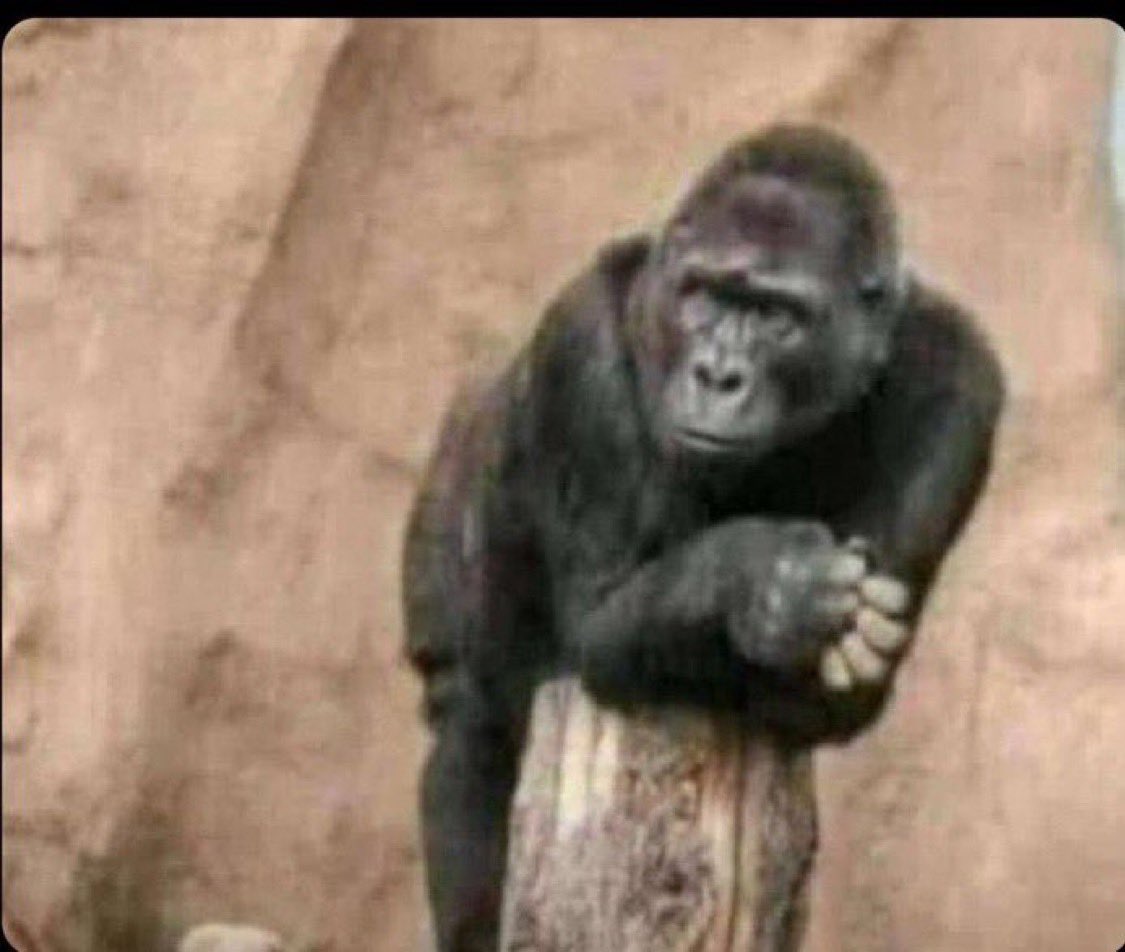 Hmm wo dierr s3 y3 gyae wo aa