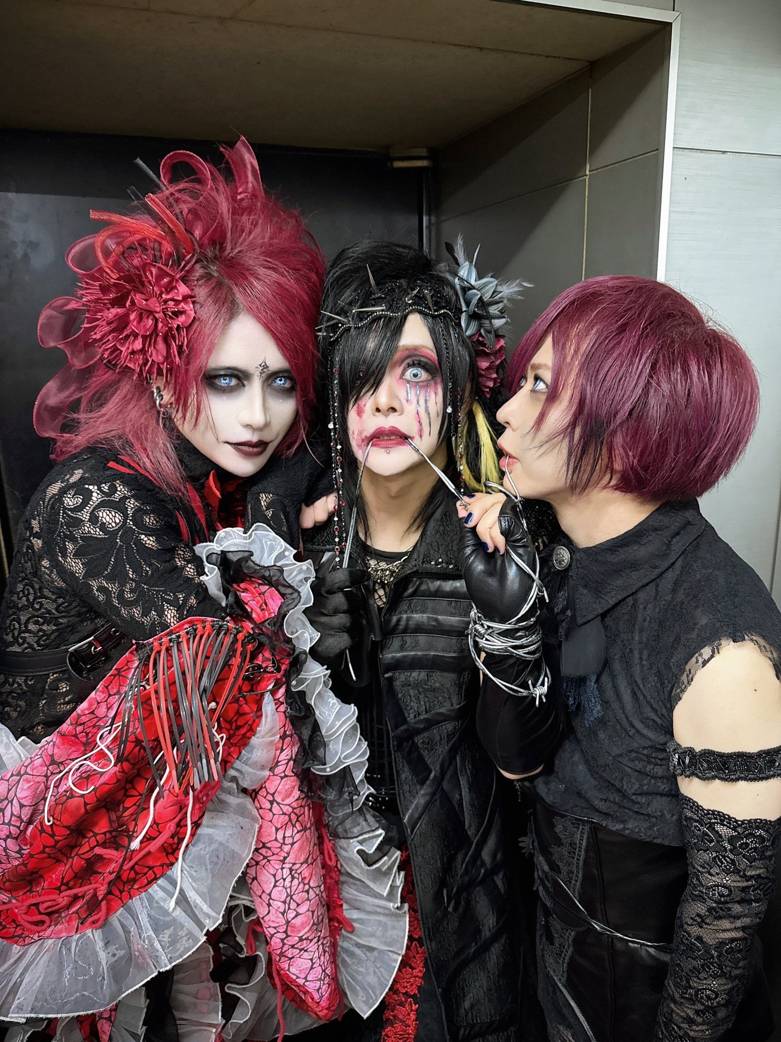 氷翠 (@zera_hisui) • Instagram photos and videos