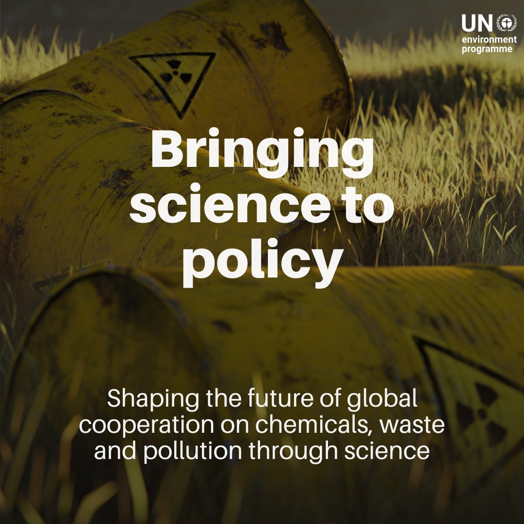 To #BeatPollution, we need the best science and policy working together.

That’s why countries are in Uruguay this week, shaping a new panel to tackle chemicals, waste and pollution with science at the centre.

Follow live: bit.ly/43XmLe6