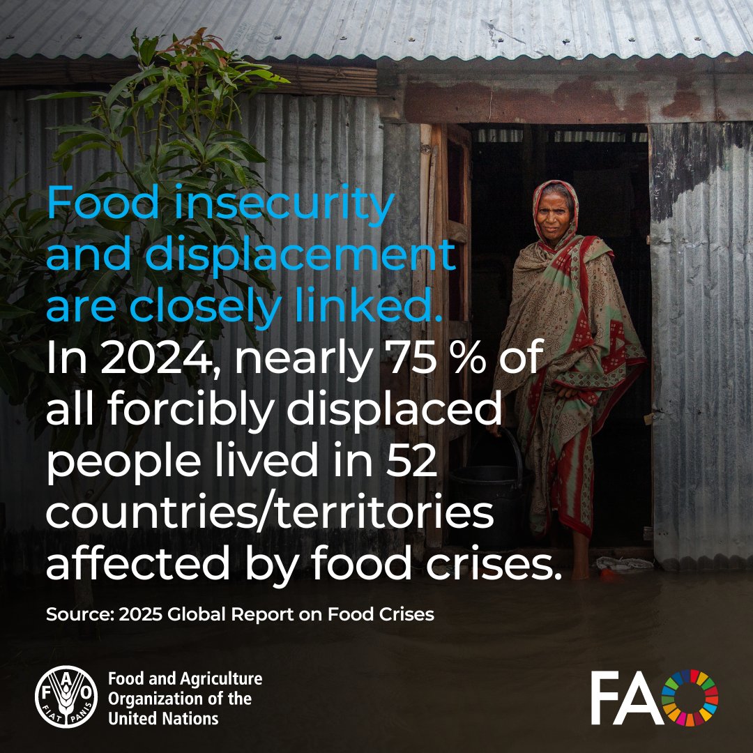 FAO in Emergencies (@faoemergencies) on Twitter photo Food insecurity is a major driver of displacement.
In 2024, 75% of forcibly displaced people lived in food crisis-affected areas.
Ahead of #WorldRefugeeDay, see how <a href="/FAO/">Food and Agriculture Organization</a> strengthens local food systems so refugees can rebuild with dignity 👉 bit.ly/3SQnqsB Food insecurity is a major driver of displacement.
In 2024, 75% of forcibly displaced people lived in food crisis-affected areas.
Ahead of #WorldRefugeeDay, see how <a href="/FAO/">Food and Agriculture Organization</a> strengthens local food systems so refugees can rebuild with dignity 👉 bit.ly/3SQnqsB