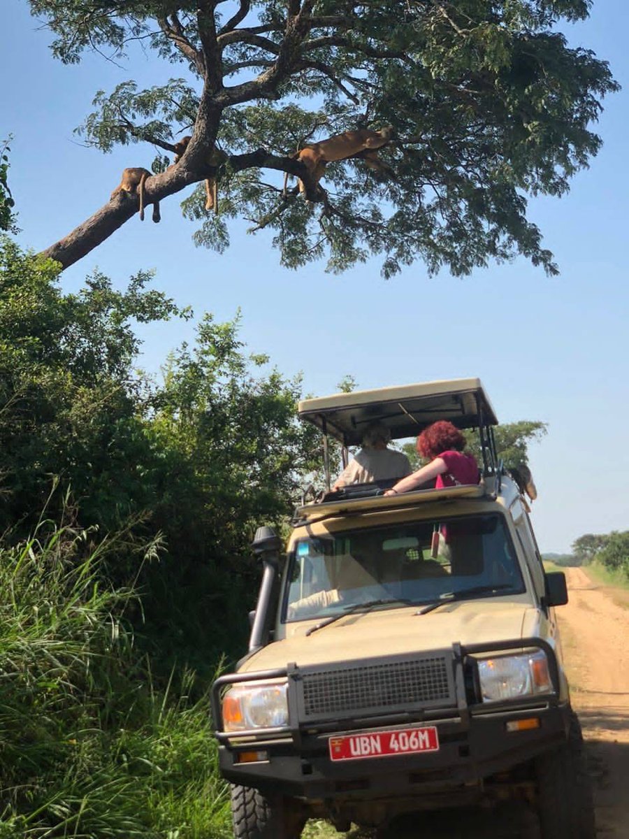 Lena Tours & Travel (@lenatours_ug) on Twitter photo What are you seeing?
Book with <a href="/LenaTours_Ug/">Lena Tours & Travel</a> for an amazing experience! WhatsApp +256700487423
#VisitUganda #ExploreUganda What are you seeing?
Book with <a href="/LenaTours_Ug/">Lena Tours & Travel</a> for an amazing experience! WhatsApp +256700487423
#VisitUganda #ExploreUganda