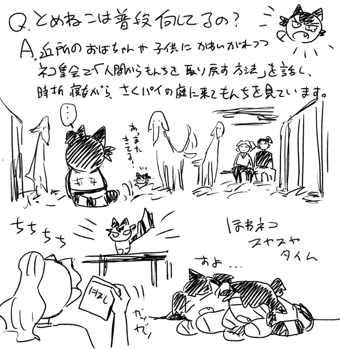 あざます!「一度飼ったら最期まで」とさくパイは人に言われているので、もんちねこを野性に返すことはな…
#wave_wamanaua https://t.co/Em40fs5U34 