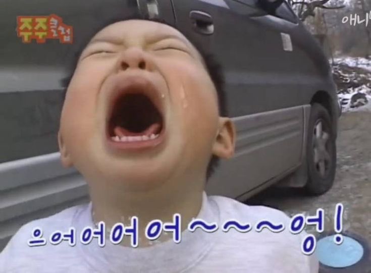 향단 (@hyangdan_luv) on Twitter photo 