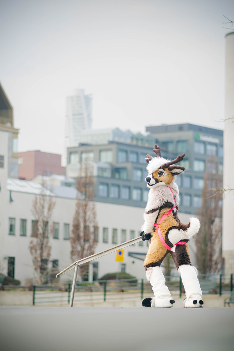 Are we enjoying the view back there?👀 
#MFYMonday 
📸<a href="/kealianwolf/">kealian 🔜 F M / BFD 17 / MFF</a> 
🌍 NFC 2025