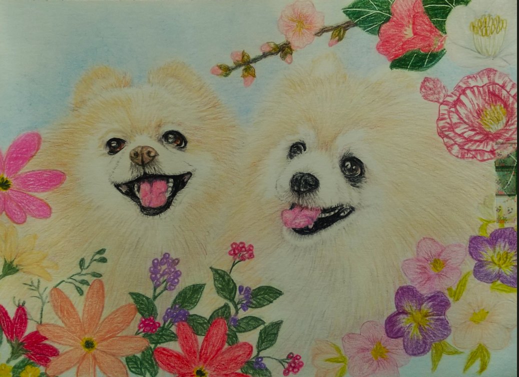 haloumaman's tweet photo. どうしよ💦　どうしよ💦
なかなか絵のご依頼を頂けません😭
どうか皆さま、絵のご依頼宜しくお願い致します🙇
送料をカットさせて頂きます💰
お問い合わせは、DMのほうにお願い致します🙏
＃色鉛筆画 https://t.co/P6TenWDGKr