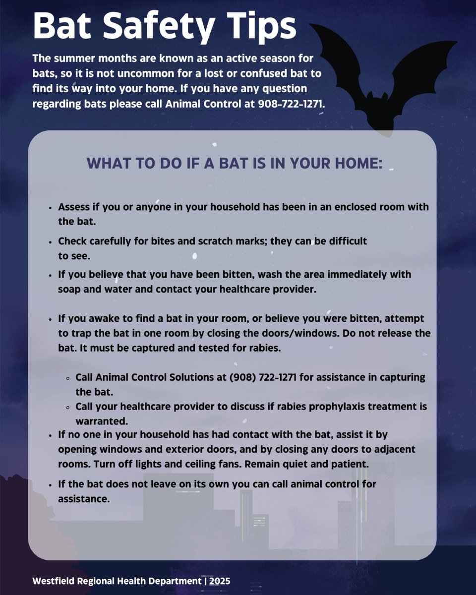 Summer is peak season for bat activity! 🦇 If a bat finds its way into your home, stay safe and follow these tips from the Westfield Regional Health Department, which serves Madison.