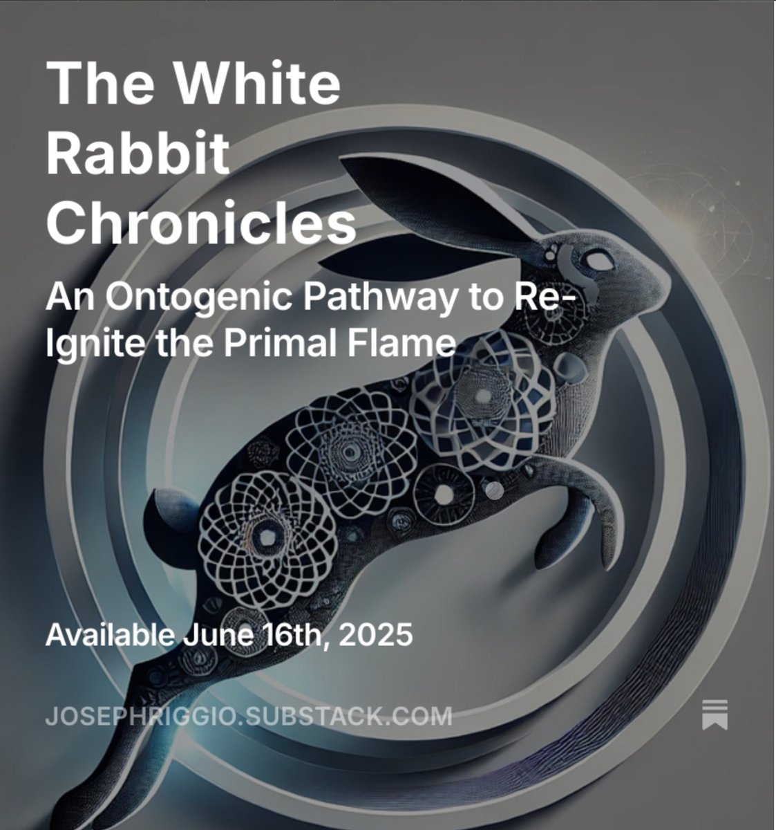 open.substack.com/pub/josephrigg…