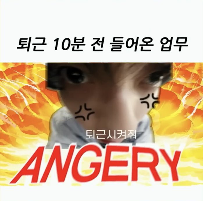 빵 tweet media