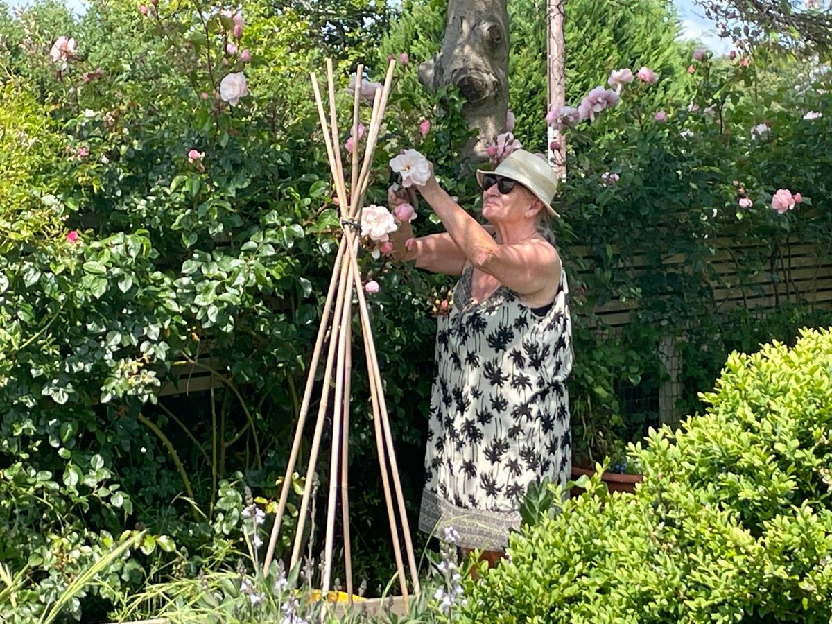 Gwen Ellis π΄σ §σ ’σ ·σ ¬σ ³σ ΏπͺπΊπΊπ¦ (@gwenellis22) on Twitter photo Ddim yn un am chwynnu ond dwiβn mwynhau dedhedio! Generous Gardener diβr rhosyn gan David Austin ar Γ΄l ei gweld yn Bodnant. Ma nhw tua 3 ml oed. Be ydi dedhedio yn Gymraeg? β¦<a href="/garddioamwy/">Garddio a Mwy</a> Ddim yn un am chwynnu ond dwiβn mwynhau dedhedio! Generous Gardener diβr rhosyn gan David Austin ar Γ΄l ei gweld yn Bodnant. Ma nhw tua 3 ml oed. Be ydi dedhedio yn Gymraeg? β¦<a href="/garddioamwy/">Garddio a Mwy</a>