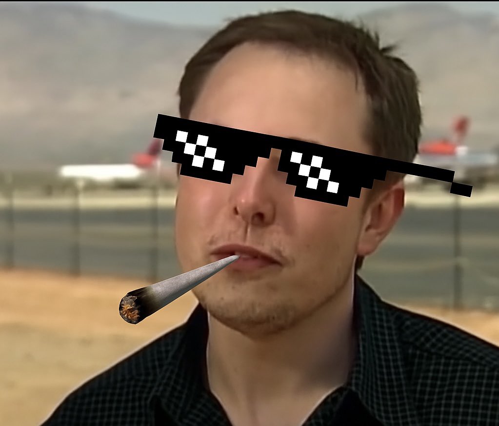 SnowFun13's tweet photo. @elonmusk OG E just getting started https://t.co/6pLzJux0nk