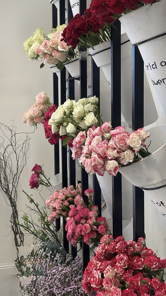 مساء الخير / 
دايم الحنيه هي الضمان العظيم للحب وقالو الشعار قصايد كثيره عن الحنيه 
وهنا طرا لي بيت لـ عبدالله بن هندي
يقول :
"تقول كم مره اغلط وانت تدمحها 
واقول ما تغلطين الا من اغلاطي"