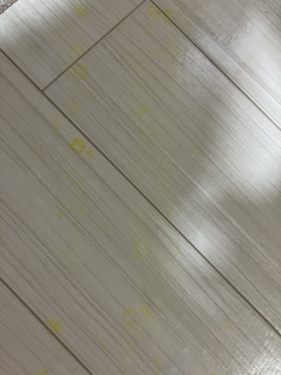 19manboo's tweet photo. ←部屋で金バズーカかまされた後に
床に残る黄色を落とす方法求む→ https://t.co/0qTyRPtSbJ