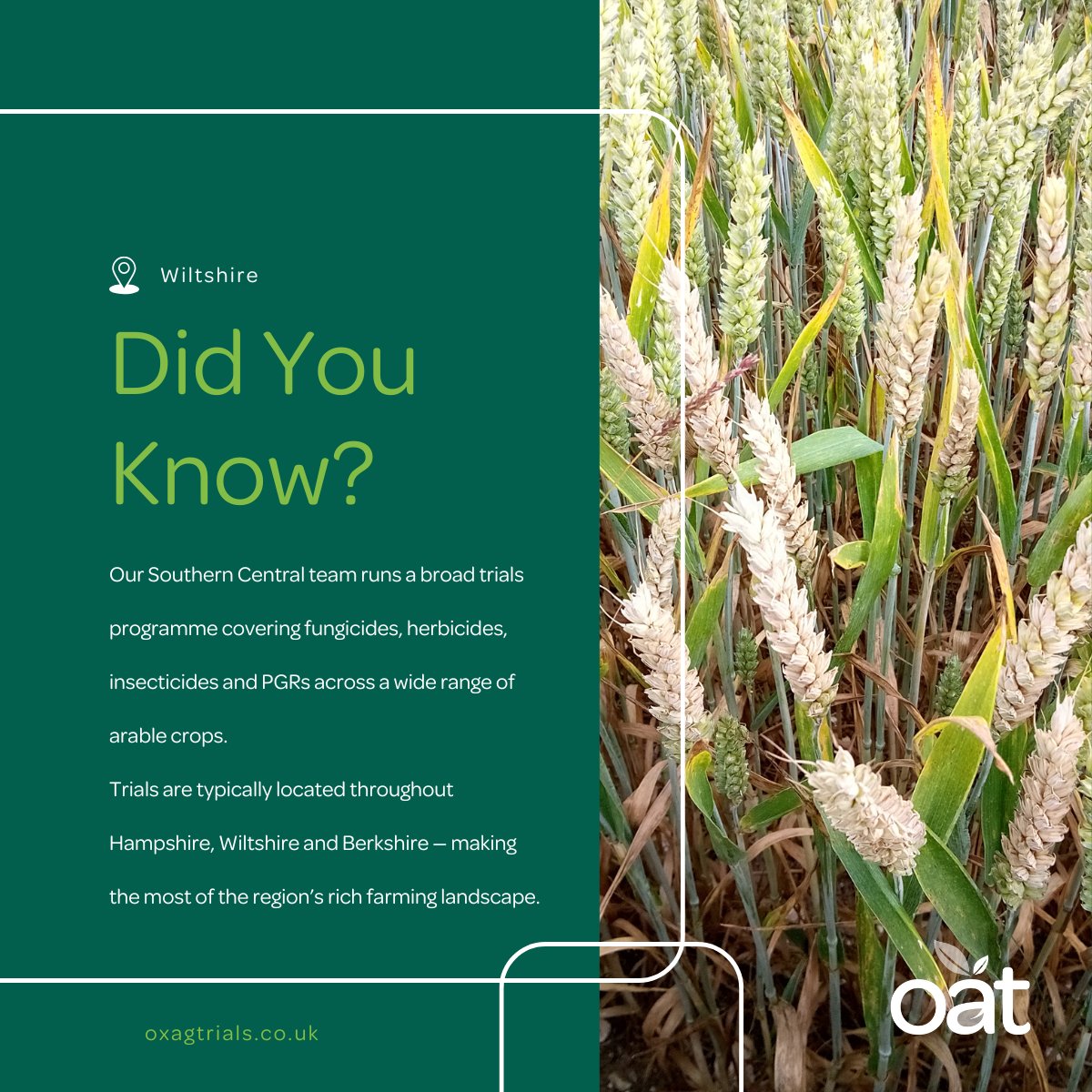 Oxford Agricultural Trials tweet media