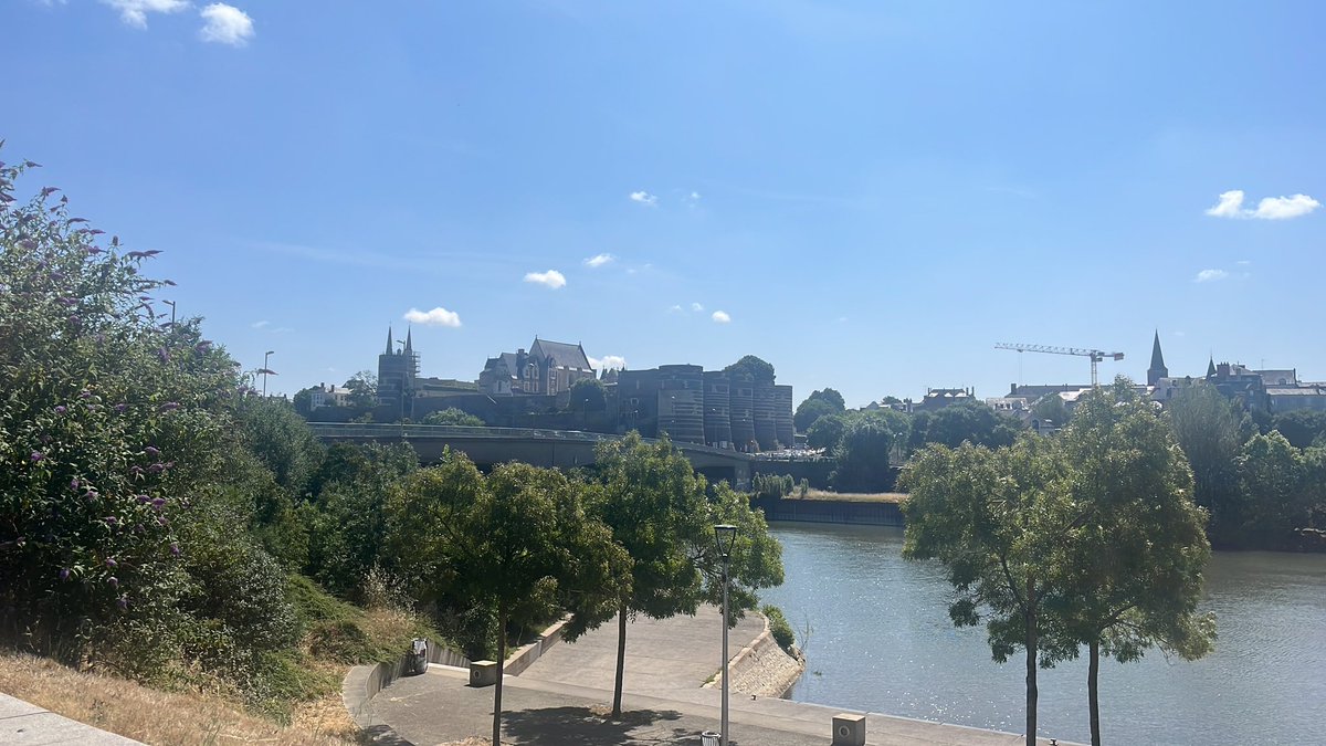 Judith CATELLA tweet media